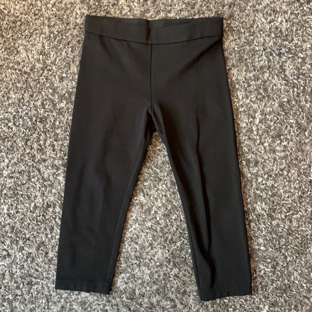 Aritzia Babaton The Group Legging